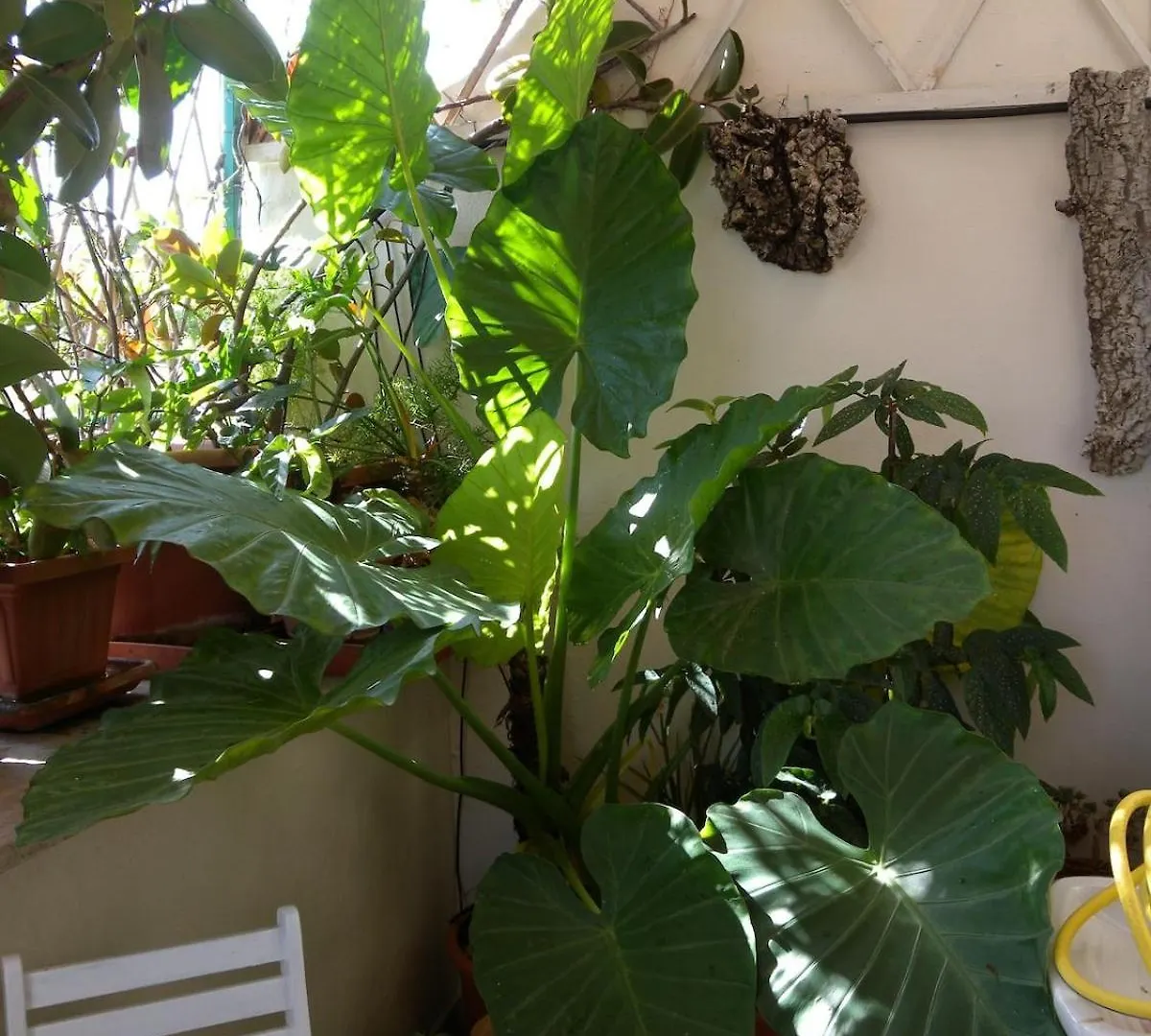 Esquilino Piano Alto Apartment Rome 0*,
